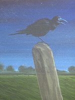 The Crow by Terry Anthony &copy; 2008 - All Rights Reserved